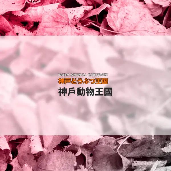 神戶動物王國