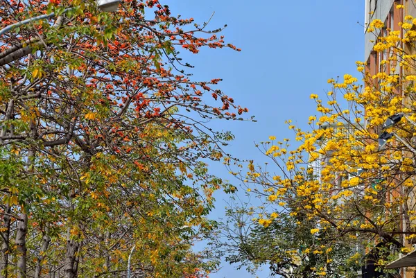 大二的外宿生活