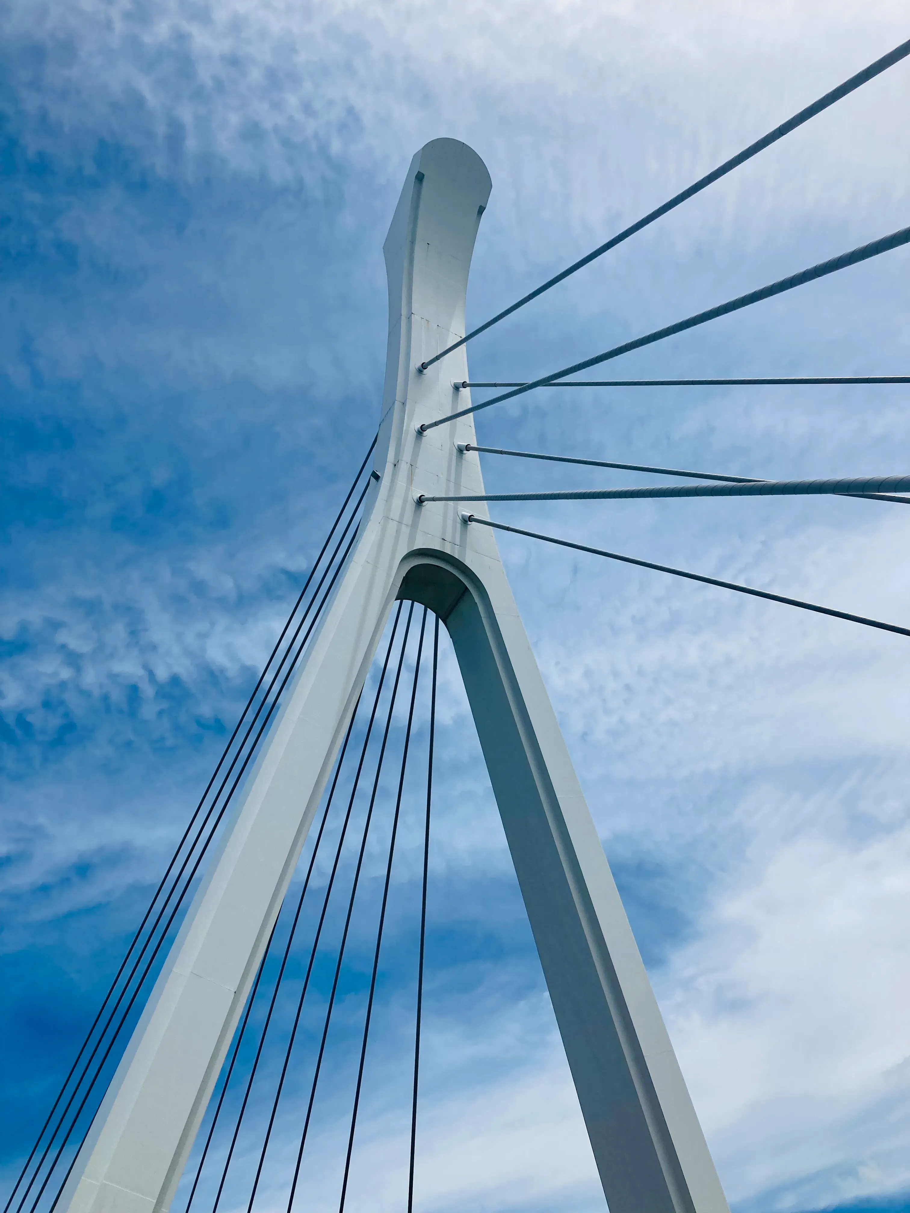 台北河濱單車道