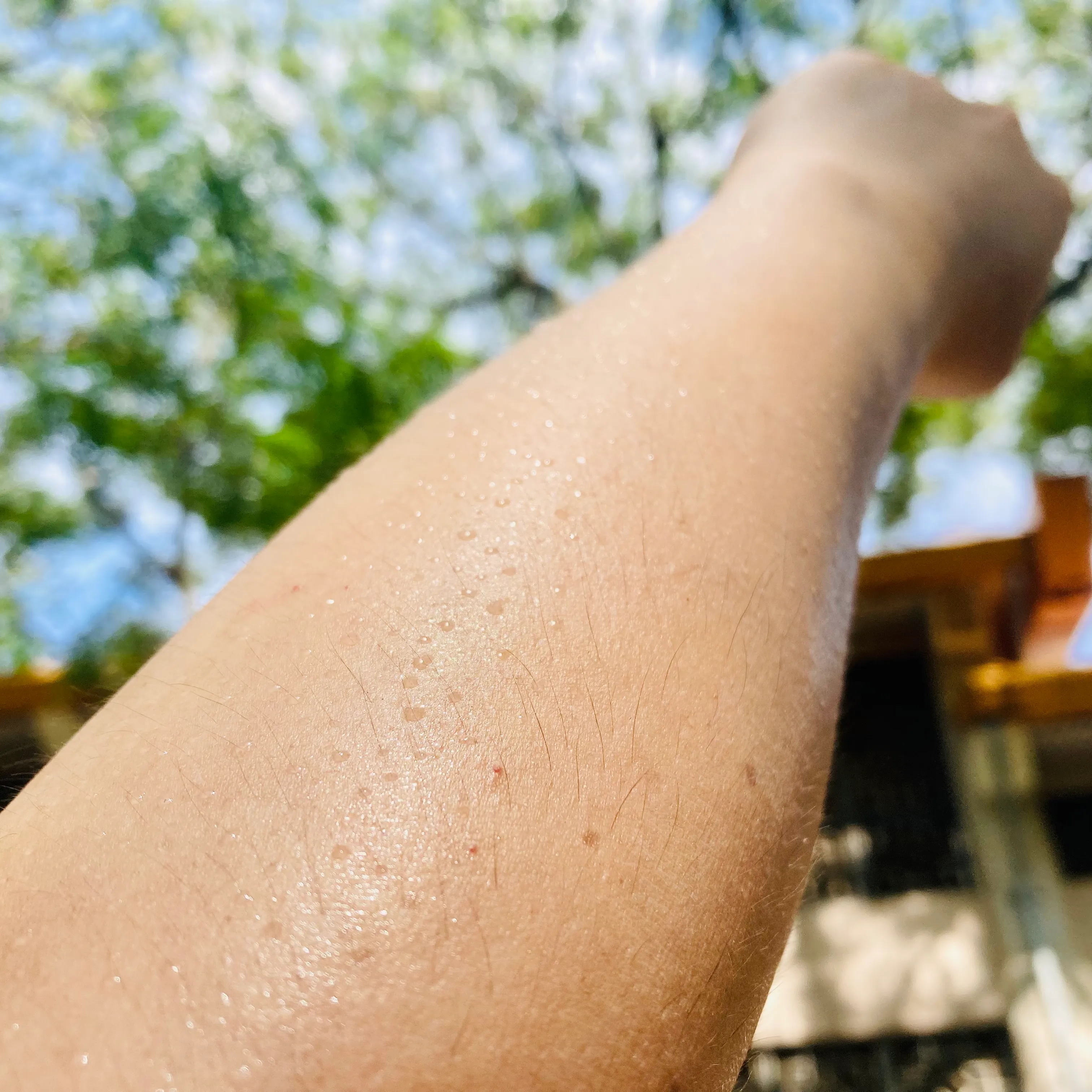 台北河濱單車道