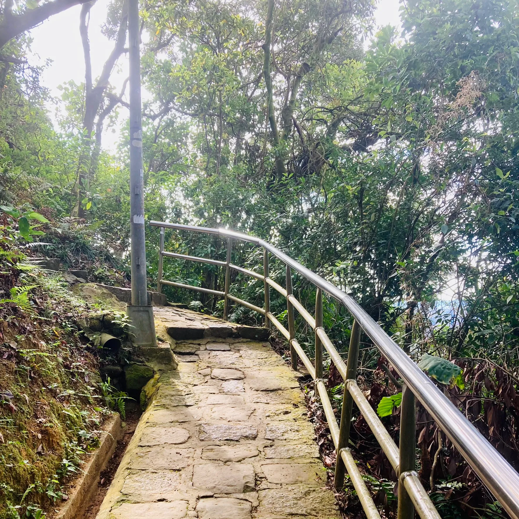 大湖公園白鷺鷥登山步道
