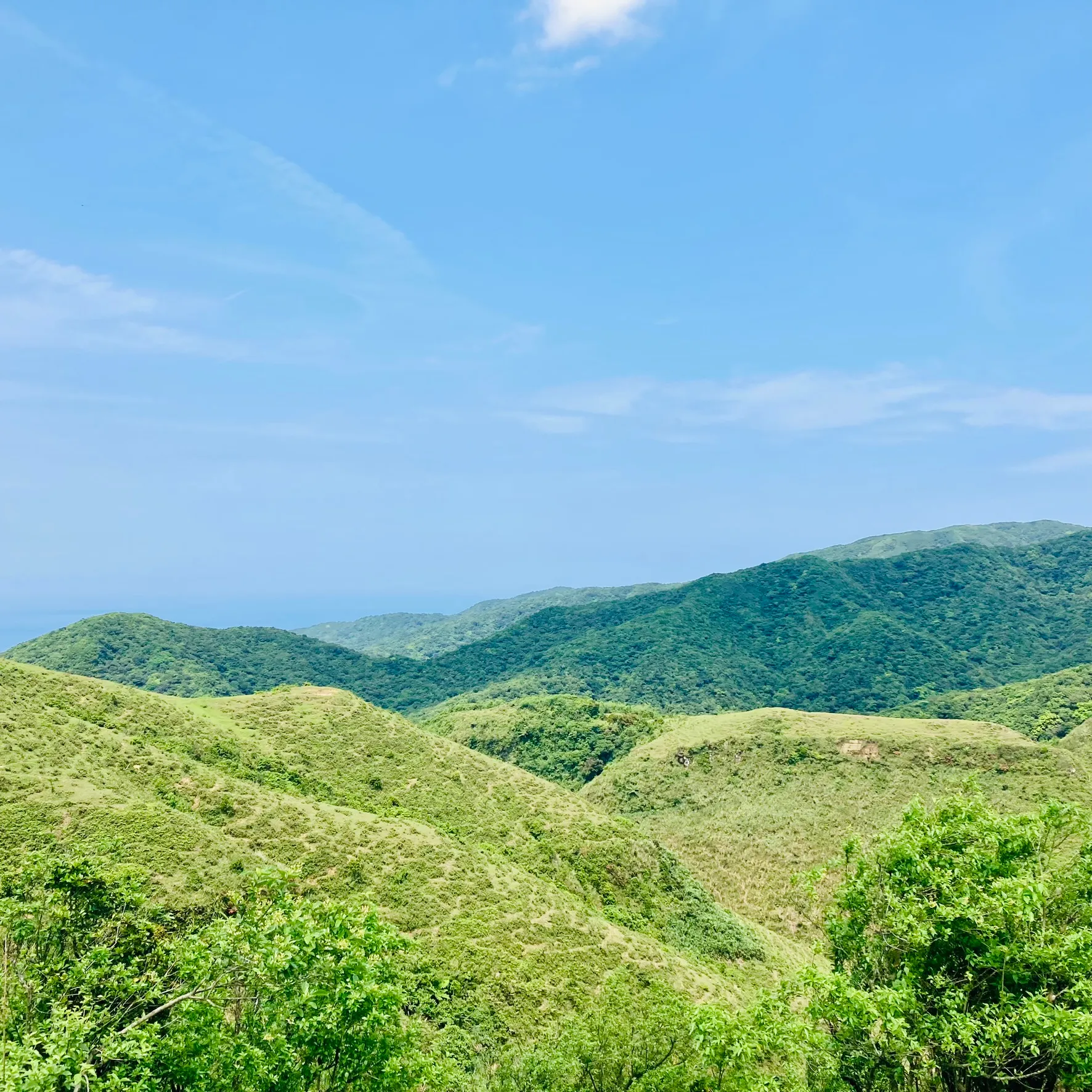 桃源谷步道草嶺線