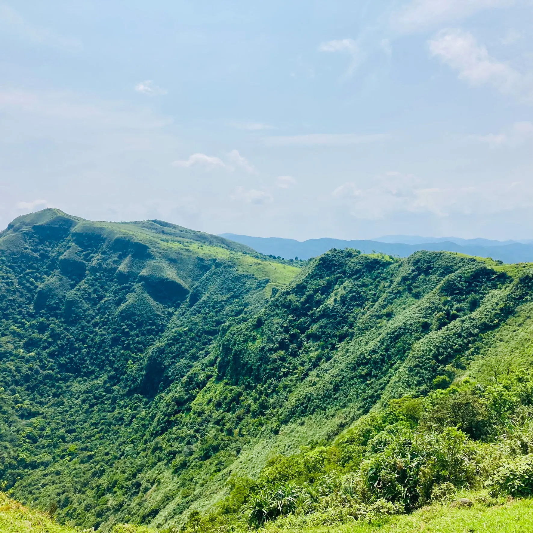 桃源谷步道草嶺線