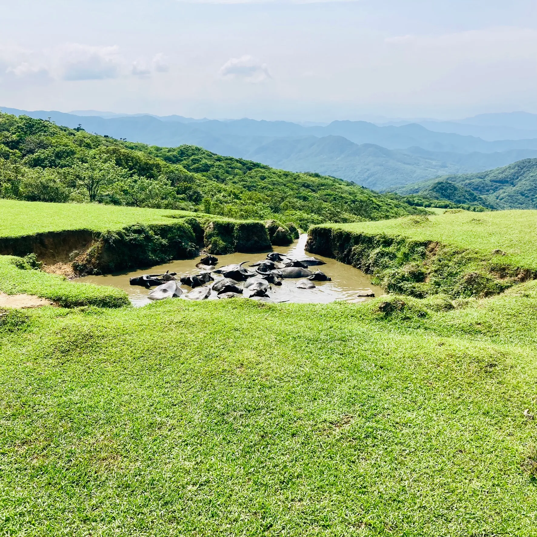 桃源谷步道草嶺線