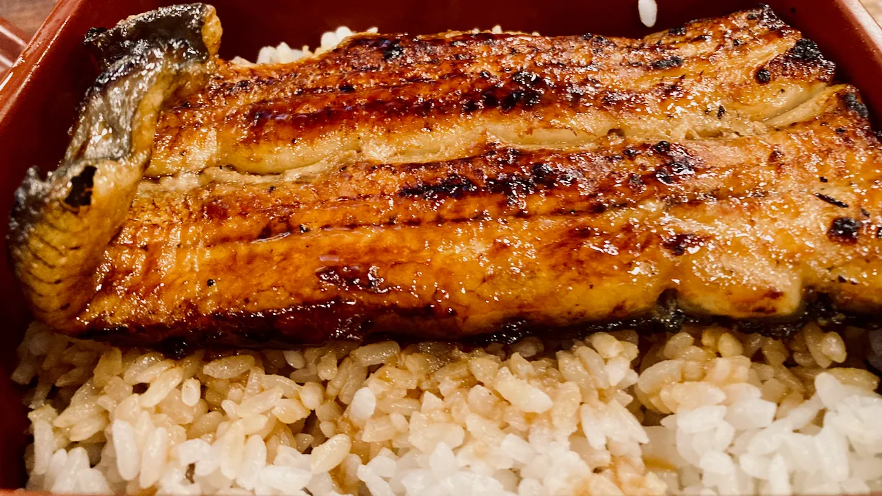 鰻魚飯