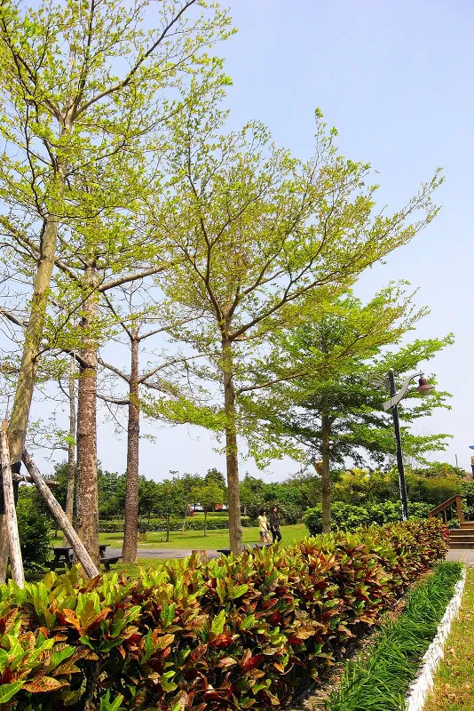 知卡宣森林公園