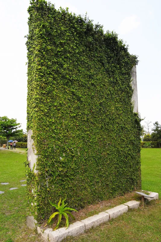 知卡宣森林公園